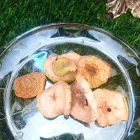 سیب خشک|خوردنی و آشامیدنی|نیشابور, هفده شهریور|دیوار