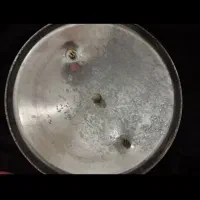 زودپز 8 لیتری|ظروف پخت‌وپز|قم, علی آباد سعدگان|دیوار