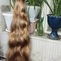 خریدار مو طبیعی بانوان|خدمات آرایشگری و زیبایی|چرداول, |دیوار