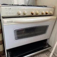 فرگاز رز کاملا سالم