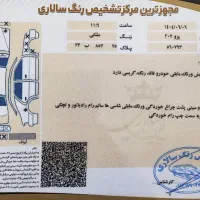 207-پاناروما(1402)|خودرو سواری و وانت|سیرجان, |دیوار