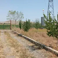 باغ در روستای علی اباد رند قابل معاوضه|فروش زمین و ملک کلنگی|ماکو, |دیوار