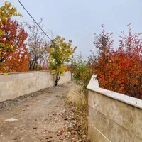 فروش زمین،بهترین موقعیت فشند،عالی چنار|فروش زمین و ملک کلنگی|هشتگرد, فشند|دیوار