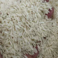 جشنواره ویژه (برنج طارم شمال)
