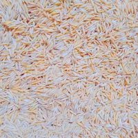 شالی‌فجر‌سوزنی‌بزری‌نود‌روزه‌مروارید.