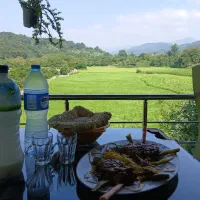 خونه-باغ-رویایی-با-اجاره-چهار-چرخ-250-سی-سی