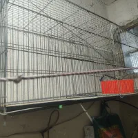 دو عدد آچار شلاقی سالم سالم|ابزارآلات|قرچک, مهدیه|دیوار