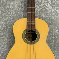 گیتار آریاAk40