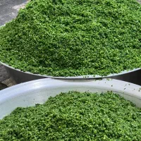 سبزی خورد شده و عمده
