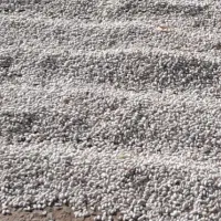 لوبیا سفید درختی