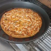 پیتزا ویژه به همراه ارسال رایگان