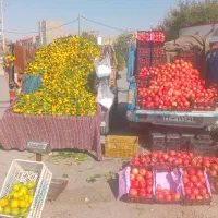 نیسان وانت|خودرو سواری و وانت|گنبد کاووس, |دیوار