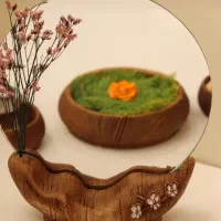 جدیدترین ست هفت سین طرح چوپ