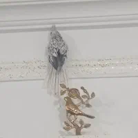 عروس هلندی ایزابلا|پرنده|بهار, |دیوار