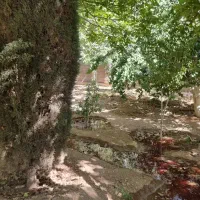 فروش خانه باغ ویلایی ۲۰۰۰ متری در صدرا|فروش خانه و ویلا|شیراز, علوم پزشکی|دیوار