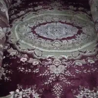 قالی ۱۲متری