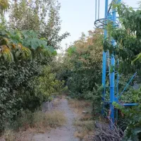 فروش-و-تهاتر-باغ-با-تجاری-یا-آپارتمان