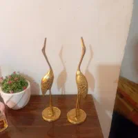 دوعدد قو برنجی