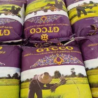 برنج هندی جی تی سی و گلپسند