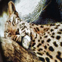 تابلو فروش|تابلو فرش|دزفول, |دیوار