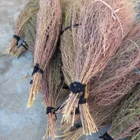 20دسته جارو دسته بزرگ روستایی کتوله ساری|لوازم نظافت|کوهدشت, |دیوار