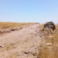 زمین-13-هزار-متری-جاده-مامونیه-به-زاویه