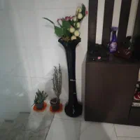 گل وگلدان|گل مصنوعی|شیراز, شیخ علی چوپان|دیوار