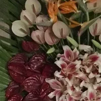 پایه گل|گل و گیاه طبیعی|تهران, تهرانپارس غربی|دیوار