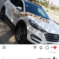 عرضه مستقیم گلدون و گیاه‌های تزئینی تازه|گل و گیاه طبیعی|فولادشهر, ورزشگاه فولادشهر|دیوار