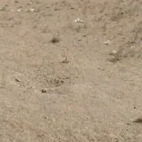 زمین-132-متری-مهرشهر-خیابان-ششم-آق-تپه
