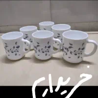 آرکوپال امارات|ظروف سرو و پذیرایی|قم, بنیاد|دیوار