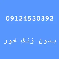 فروش خط 09124530392