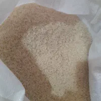 برنج فجر|خوردنی و آشامیدنی|بندر ترکمن, |دیوار