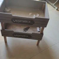 جا پیاز سیب زمینی