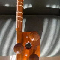 تار جلیل صالحی|سازهای سنتی|تهران, بهار|دیوار