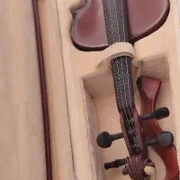 ویولن wein bach