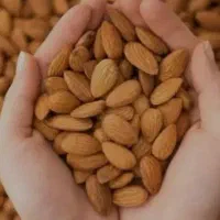 کارگاه شکن خشکبارو پاک کن کشمش