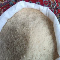 برنج فجر سوزنی ۹۰روز|عمدهفروشی|آق قلا, |دیوار