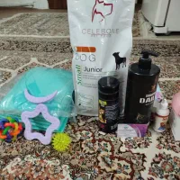 سگ سه ماه .|سگ|ری, دیلمان|دیوار