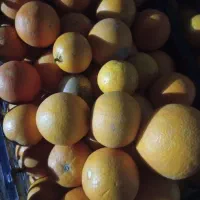 پرتقال آبدار مازندران