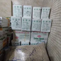 بادام هندی 180 مجوز دار