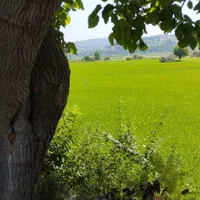 فروش ۱۳۰۰ متری|فروش دفتر صنعتی، کشاورزی، تجاری|ساری, |دیوار