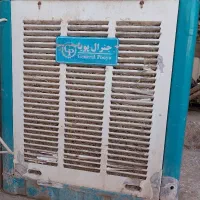 کولرابی سالم درحدنو