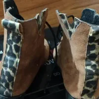 کفش زنانه وکالت مردانه