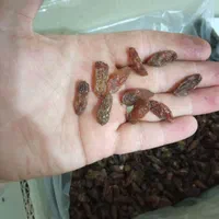 مرکز پخش کشمش آفتابی و شیره|عمده‌فروشی|رشت, کوی عرفان|دیوار