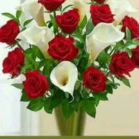 دو فیش حج عمره