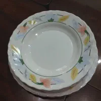 آرکوپال فلو