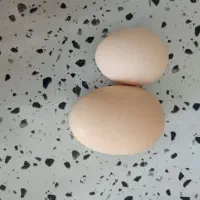 تخم مرغ محلی دو زرده|خوردنی و آشامیدنی|اصفهان, ارداجی|دیوار