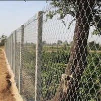 فنس کشی و حصار باغی