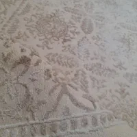 دو عدد فرش طرح مخمل
